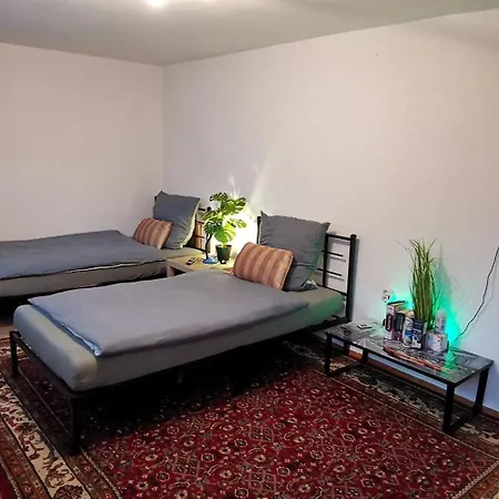 Privates 40qm Mit 2 Betten, Eigener Dusche, Bad Und Wc, Gratis Parkplatz Und Wifi, Kellerwohnung, Eigener Eingang ,top Lage ホームステイ